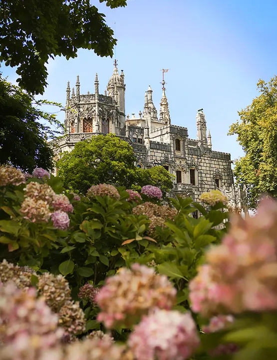 Les meilleurs endroits où camper au Portugal