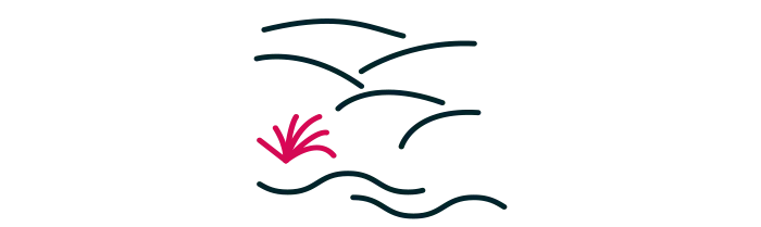 Visiter les dunes de Tréompan