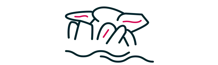 Visiter Milliau et Molène