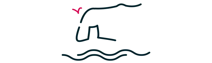 Visiter Presqu’île de Quiberon