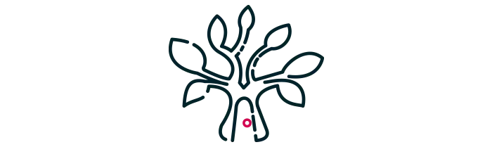 Se promener en forêt de Brocéliande