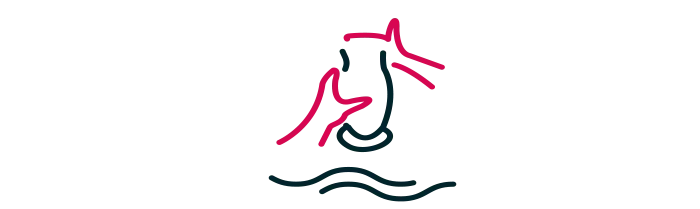 À la Découverte de l’Île aux Artisans