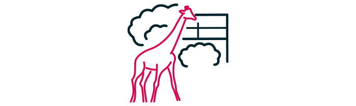 À la découverte du Zoo de la Boissière