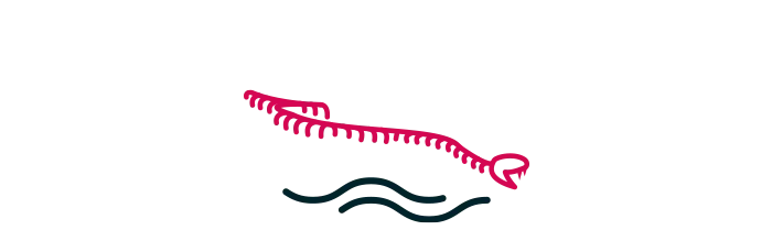 L’Art Étrange du Serpent d’Océan