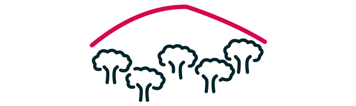 Plongée au cœur des Mines d’Abbaretz