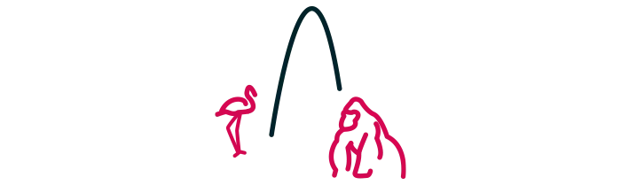 Découvrer le Zoo de la Palmyre