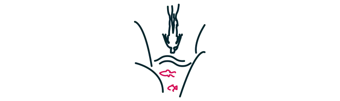 Camping bord de mer dans le Var