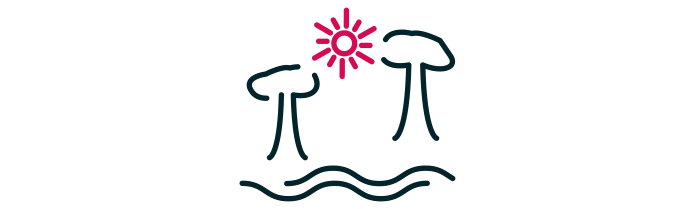 Camping bord de mer dans les Landes